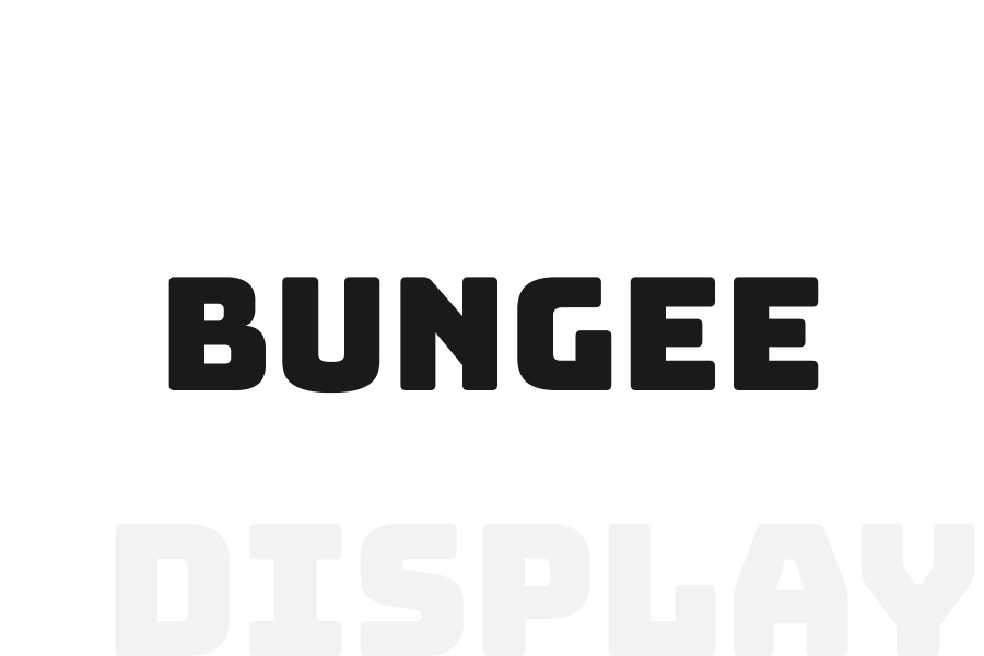 Bungee