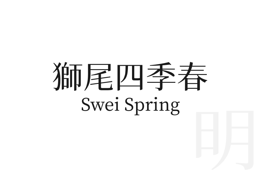 獅尾四季春 Swei Spring